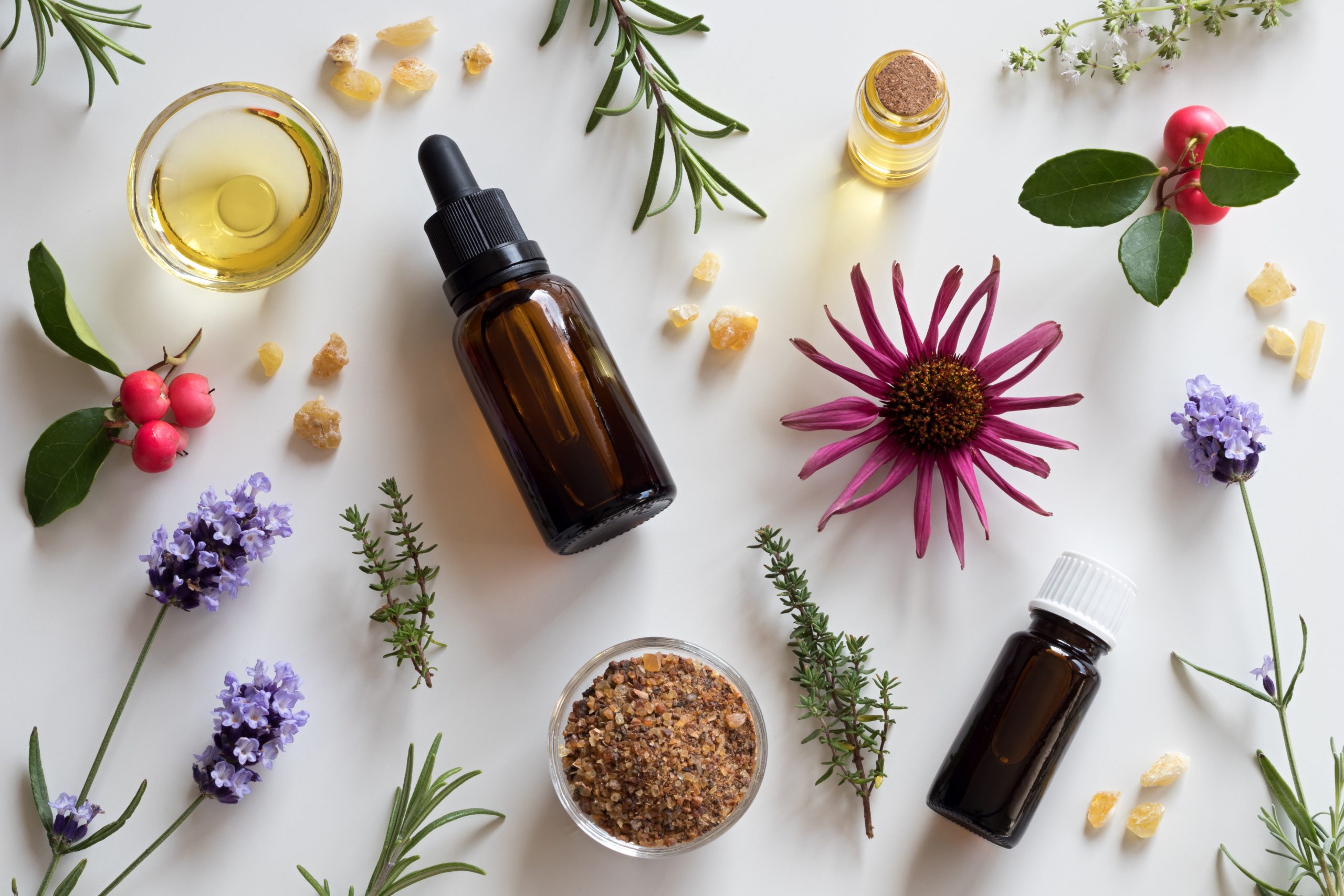 Herbs-nutrition-essential-oils