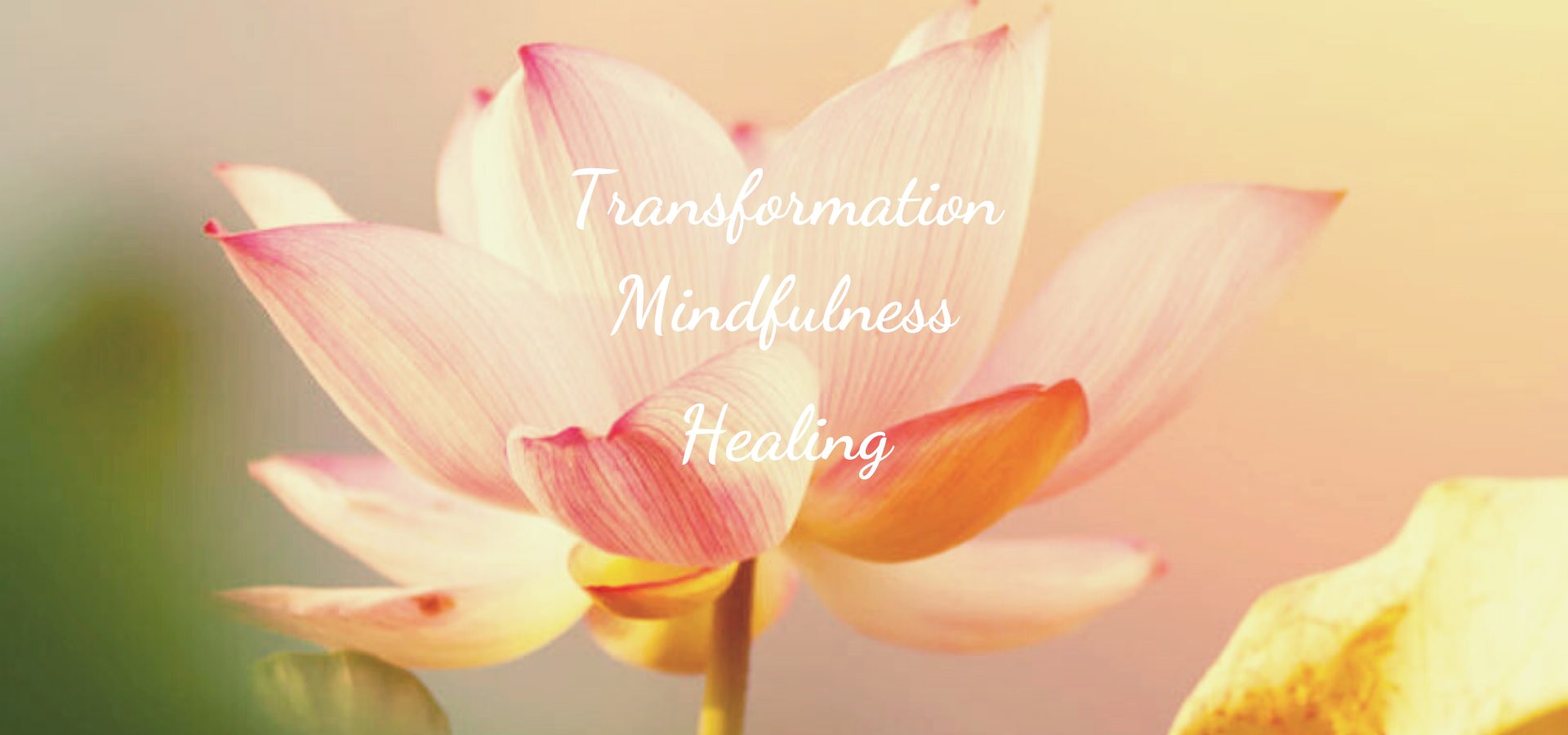 Classes-meditation-trauma-healing
